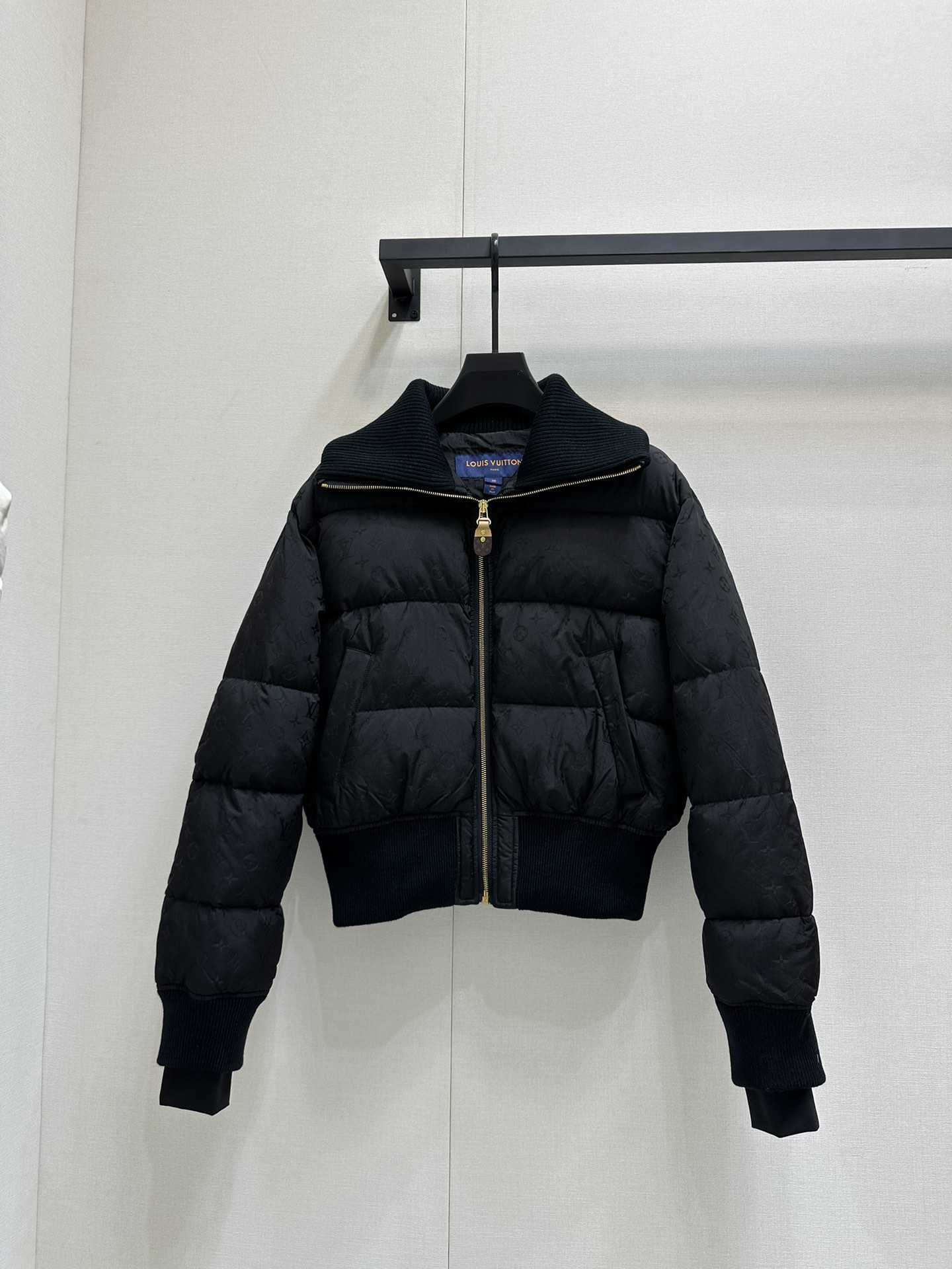 Louis Vuitton Down Jackets